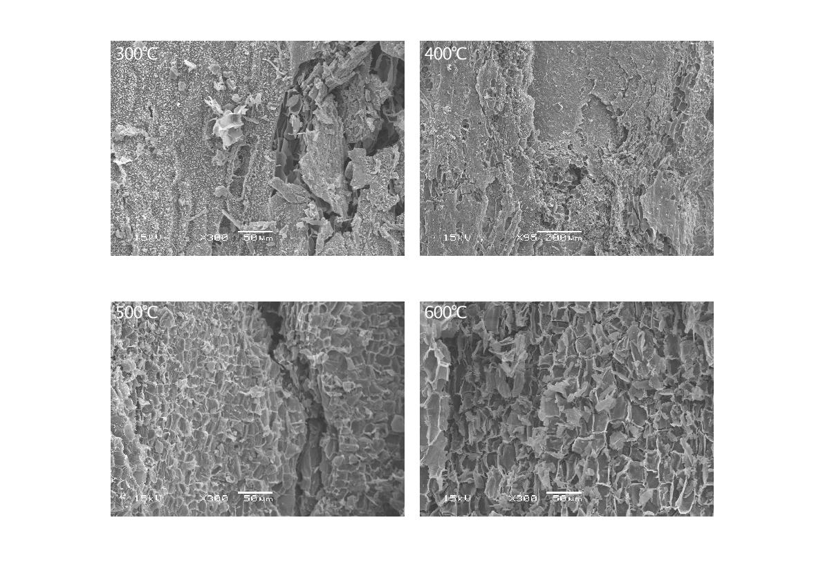 Fig. 3-108. 열분해 온도에 따른 감나무 전정지 biochar의 SEM 사진