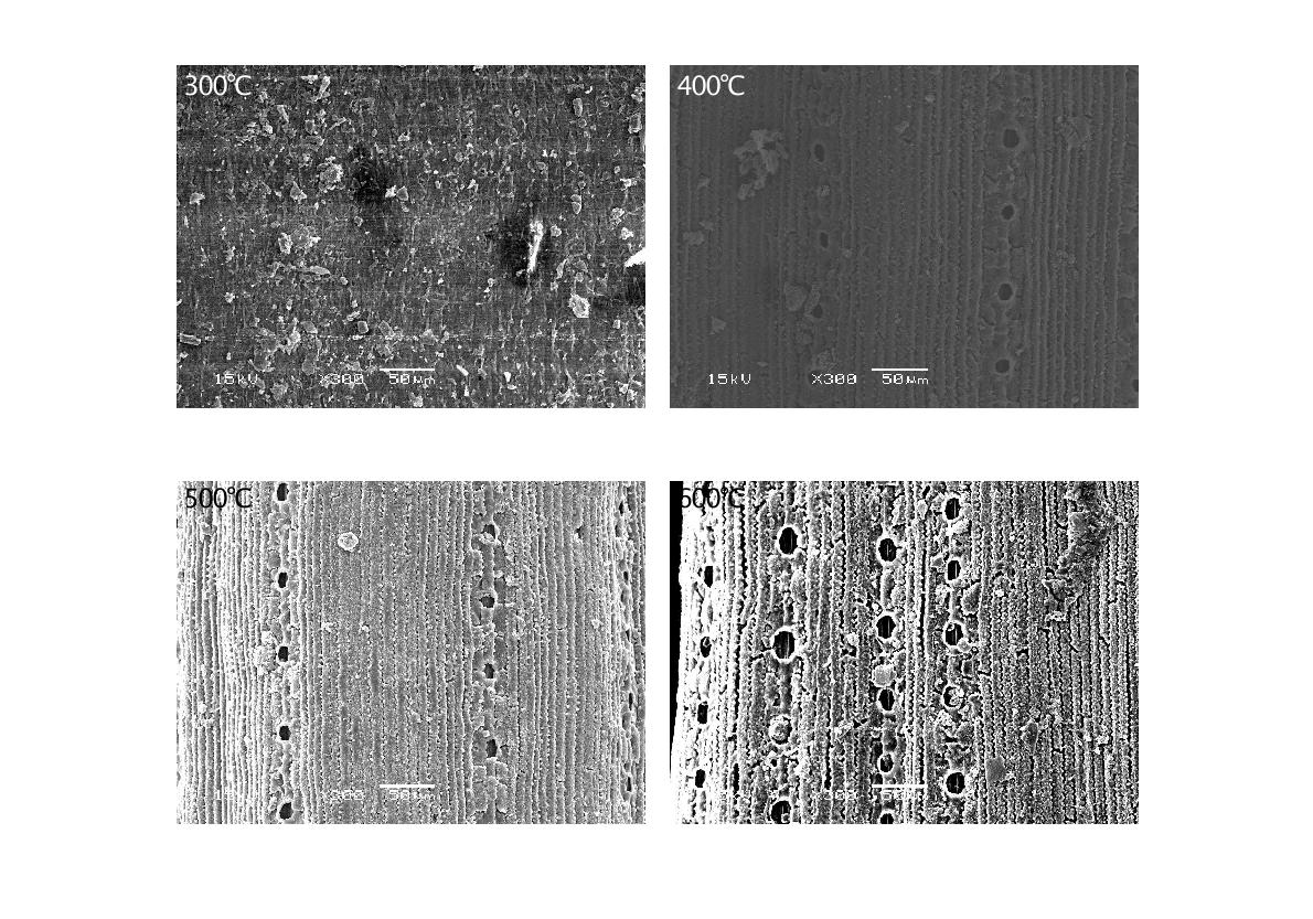 Fig. 3-114. 열분해 온도에 따른 솔잎 biochar의 SEM 사진