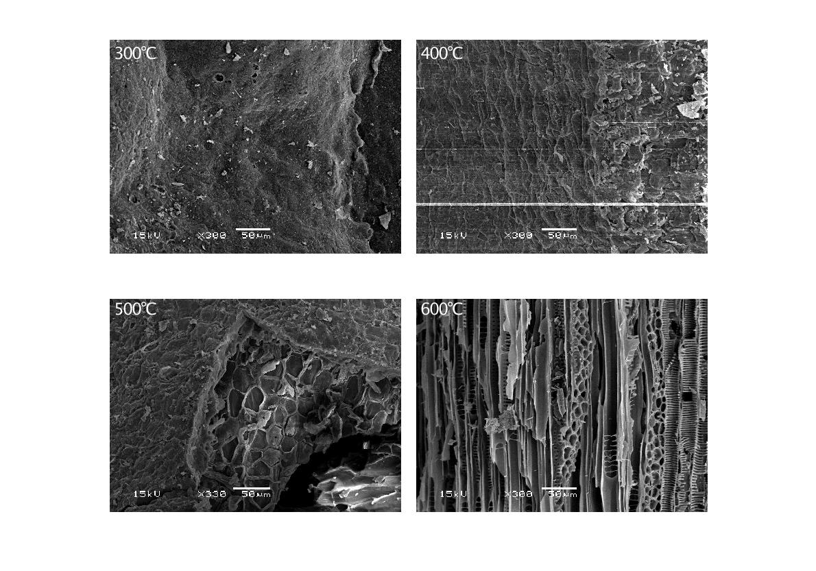 Fig. 3-120. 열분해 온도에 따른 플라타너스 가지 biochar의 SEM 사진.