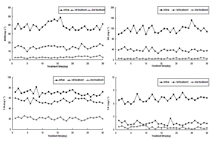 Fig. 3-165. Lab-scale 인공습지에서 하수 주입에 따른 오염물질 농도변화.