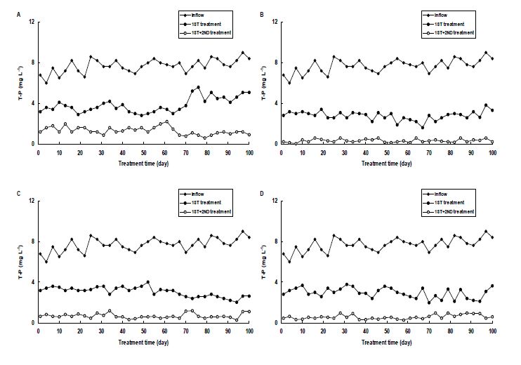Fig. 3-176. 소형 인공습지에서 처리시기별 T-P 농도변화.