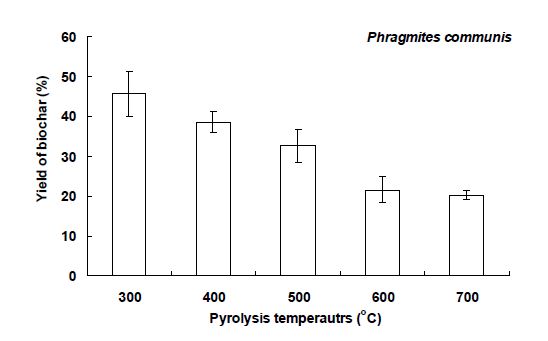 Fig. 3-213 환경정화용 biochar제조장치에서 열분해 온도별 갈대 biochar의 수율