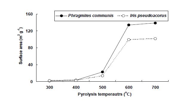 Fig. 3-217. 열분해 온도별 갈대 및 창포 biochar의 비표면적.