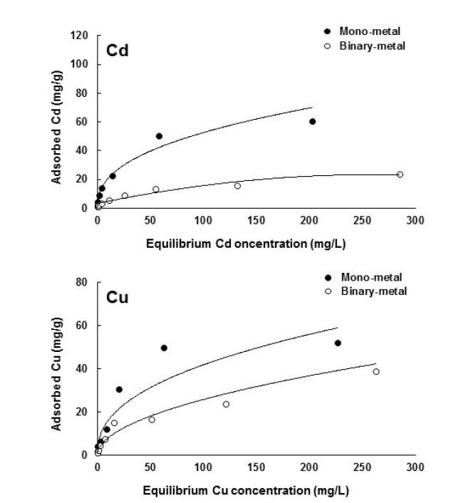 Fig. 3-218. 단일 및 이성분 용액내에서 갈대 Biochar의 평형농도에 대한 흡착량.