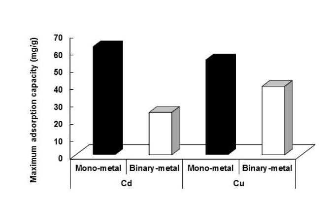 Fig. 3-220. 단일 및 이성분 용액에서의 Cd 및 Cu의 최대흡착량.