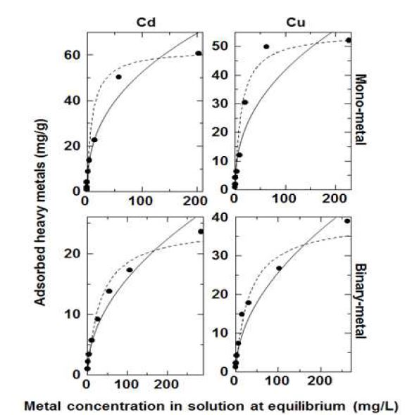 Fig. 3-221. 갈대 biochar의 중금속 최적등온흡착식.