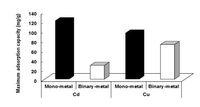 Fig. 3-223. Column실험에서 갈대 biochar의 단일 및 이성분 용액에 대한 Cu 및 Cd의 최대흡착능