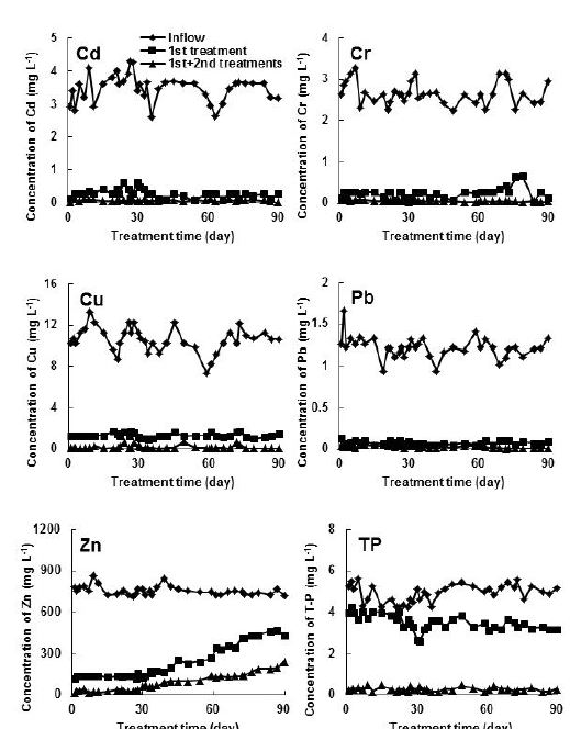 Fig. 3-236. 소형 인공습지에서 도금폐수 처리시일에 따른 방류수 중 중금속 및 인 농도변화