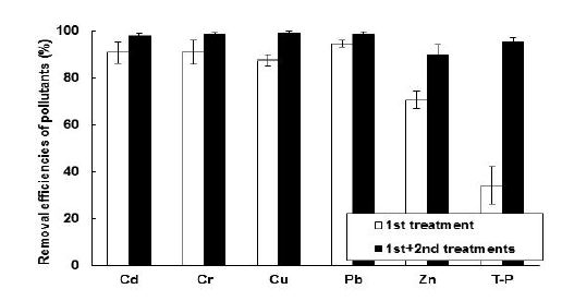 Fig. 3-237. 소형 인공습지에서 도금폐수 처리시일에 중금속 및 인 처리효율.