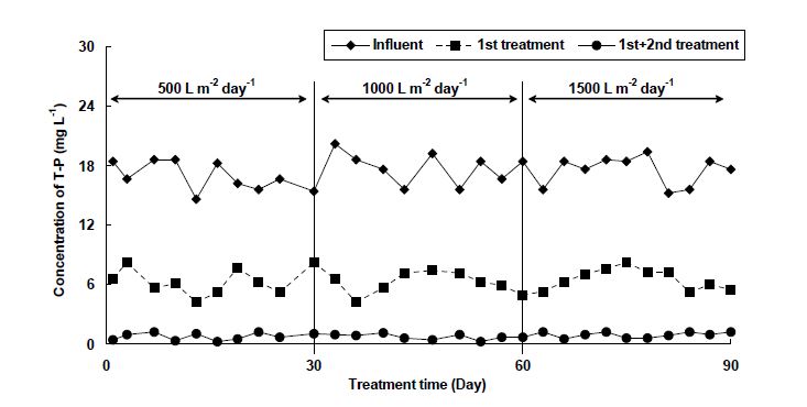 Fig. 3-245. 소형 자연정화시스템에서 하수부하량에 따른 T-P 처리효율