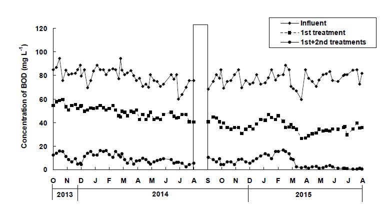 Fig. 3-246. 현장 자연정화시스템에서 처리시기별 BOD 처리효율