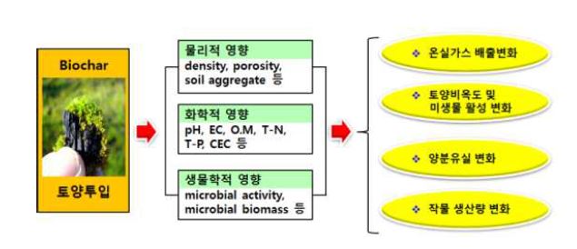 Fig. 3-273. 농업에서 biochar의 역할