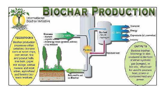 Fig. 1-4. Biochar 생산공정 모식도.