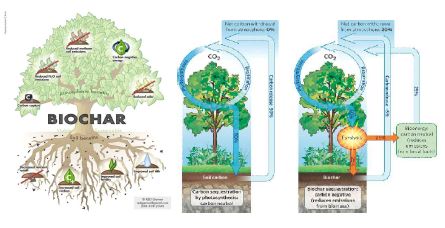 Fig, 1-3. Biochar의 역할과 지구온난화 저감을 위한 모델