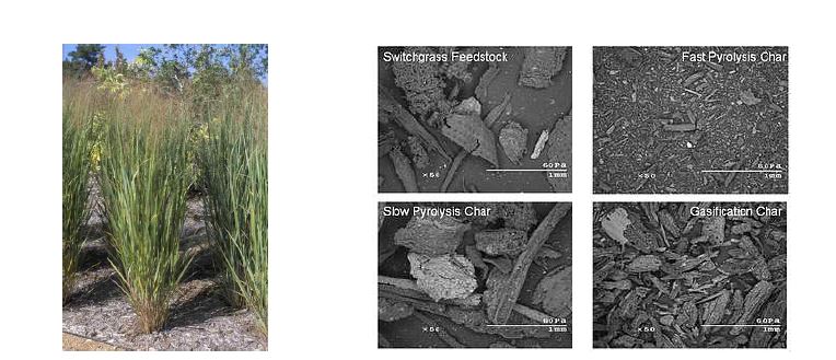 Fig. 1-6. Switchgrass의 제조방법에 따른 Biochar 특성