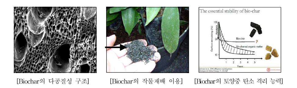 Fig. 1-7. Biochar 구조 및 탄소 격리 능력