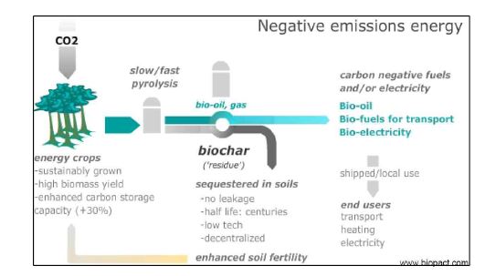 Fig. 2-1. 바이오매스의 biochar 변화에 의한 탄소격리 및 바이오에너지 자원화