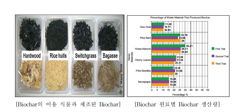 Fig. 2-3. 다양한 원료를 이용한 biochar 제조 및 생산량.