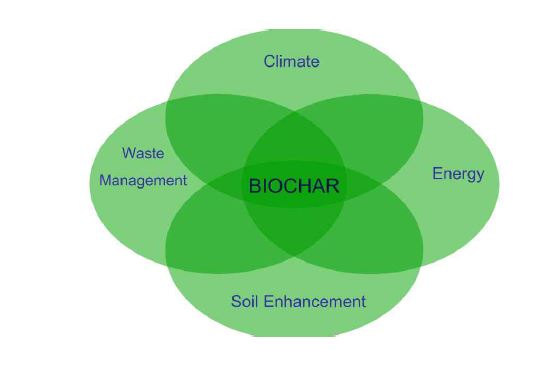 Fig. 3-1. 환경관리 개념에서의 biochar 역할