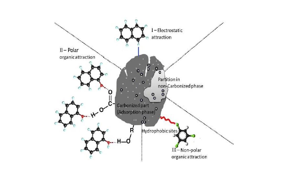 Fig. 3-4. 유기성오염물질과 biochar의 흡착관계