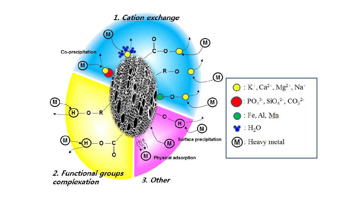 Fig. 3-5. Biochar의 중금속 흡착 메커니즘