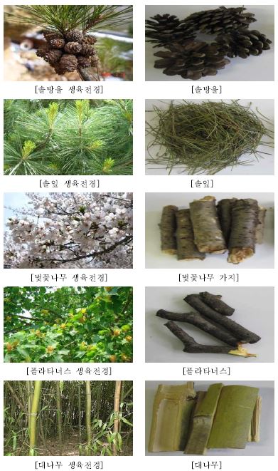 Fig. 3-8. 임산부산물 종류별 생육전경 및 채취된 실험재료