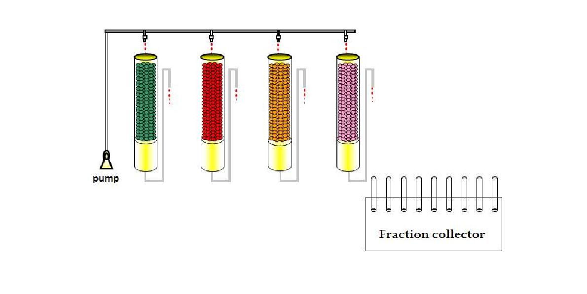 Fig. 3-9. 농림부산물로 제조한 biochar의 수처리 효율평가를 위한 column 장치 모식도