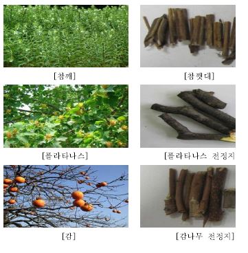 Fig. 3-10. 공시 biochar 종류별 시료채취 부위.