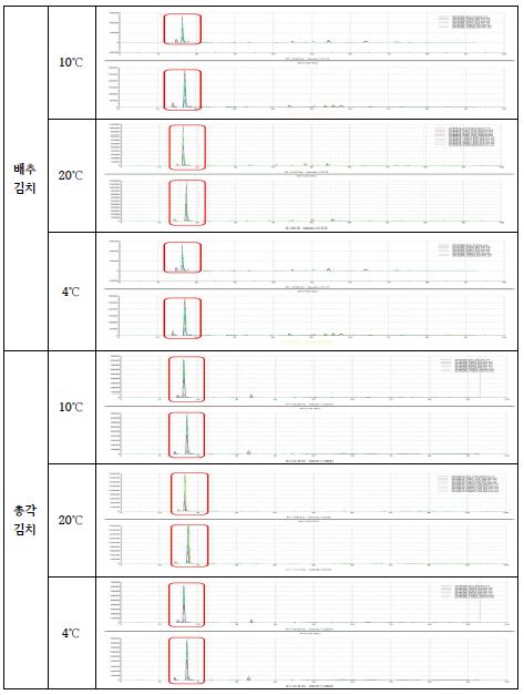 배추김치 및 총각김치의 저장온도 및 기간에 따른 향미성분 크로마토그램