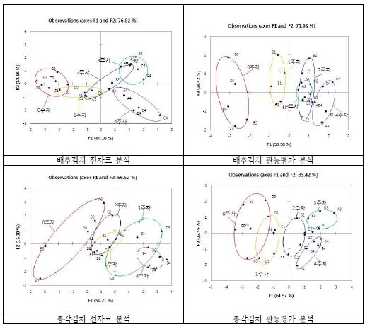 배추김치와 총각김치의 PCA 분석