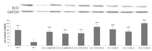 식물성유지를 섭취한 실험동물 지라에서 Bcl-2 단백질발현 측정결과