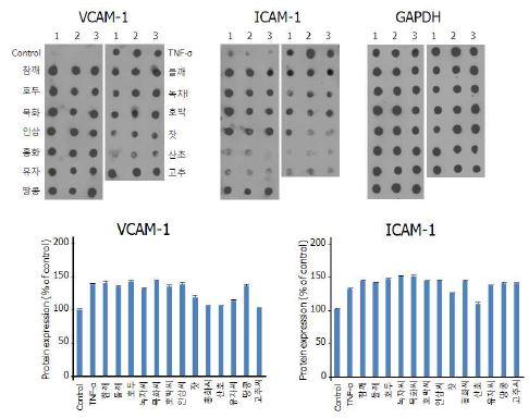 Effect of Vegetable oil on the vascular cell adhesion molecule-1(VCAM-1), intracellular adhesion molecule-1(ICAM-1) protein expression in a HUVEC