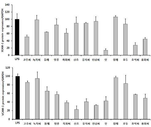 식물성유지가 ICAM-1, VCAM-1 단백질 발현에 미치는 영향