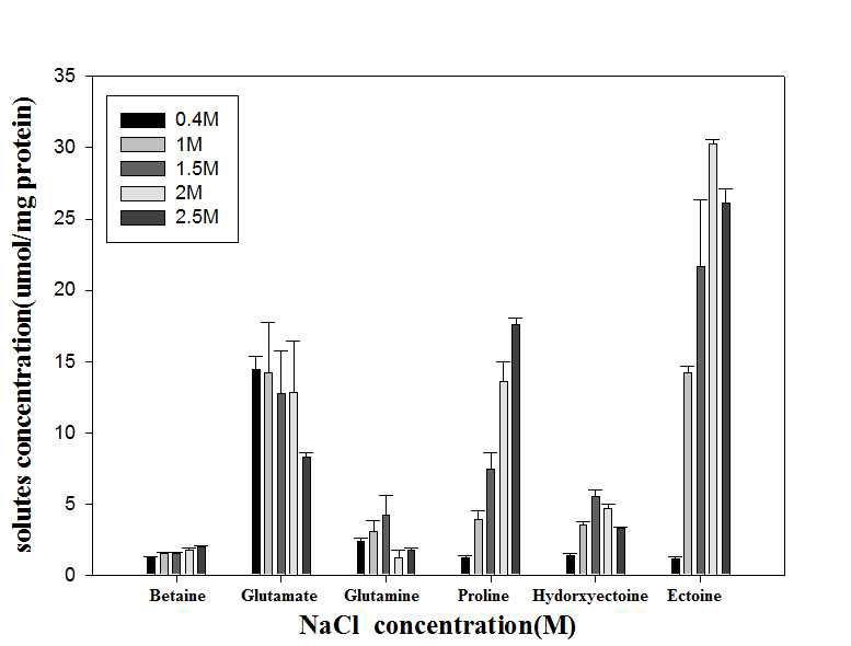 NaCl 농도에 따른 S. jeotgali MJ3의 세포 내 compatible solutes 축적량의 변화