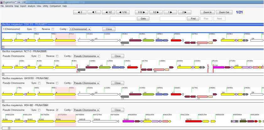 CLgenomics 프로그램을 이용하여 전유전체 분석 모습