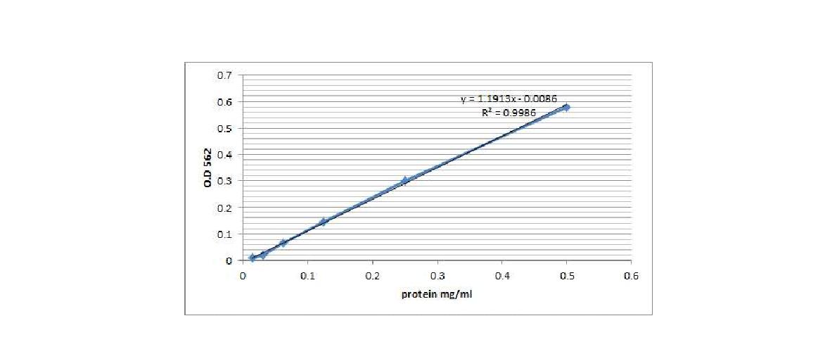 Albumin standard curve