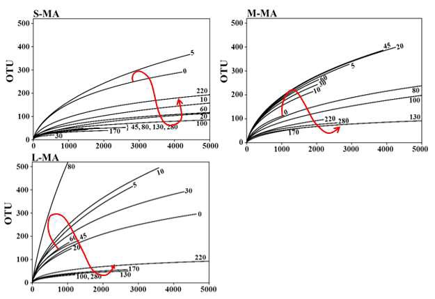 발효기간에 따른 멸치액젓의 미생물 희박곡선 (rarefaction curve)변화 작은 멸치 액젓 (S-MA), 중간 멸치 액젓 (M-MA), 큰 멸치 액젓 (L-MA)