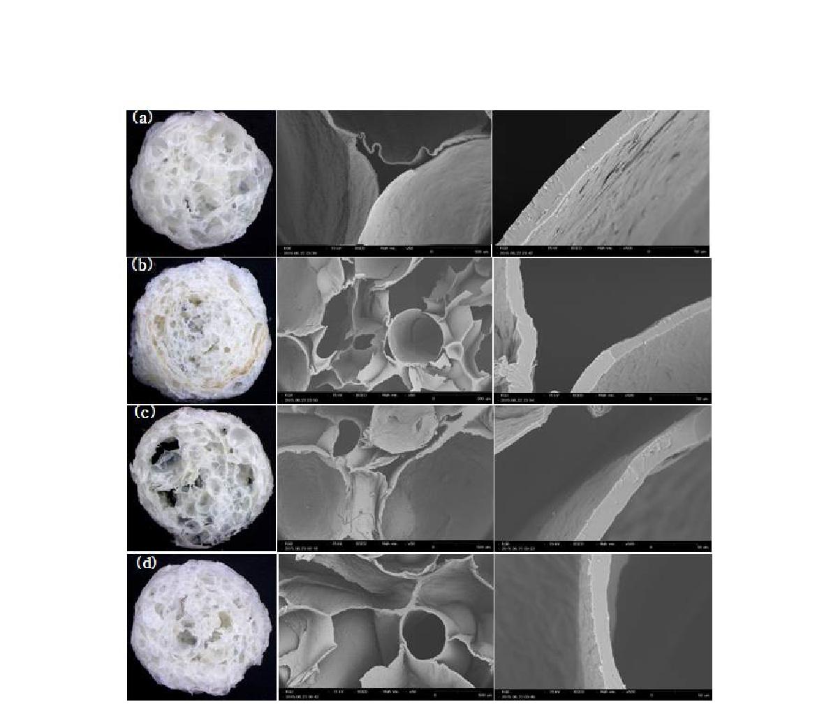 Appearance and microstructure of extruded rice snack produced from (a) normal head rice without SHS treatment, (b) normal head rice with SHS treatment, (c) baekginju rice without SHS treatment, (d) baekginju rice with SHS treatment; Left; appearance, center; inner microstructure, right; air cell wall