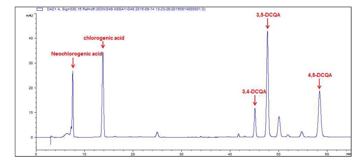 곰취 지표물질(standard)의 HPLC chromatogram