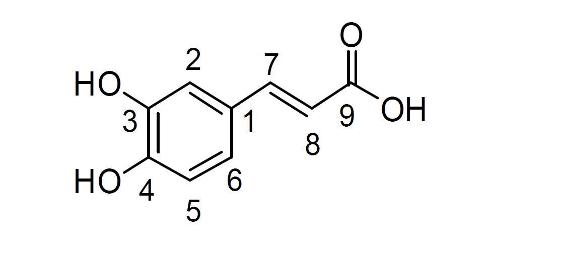 Caffeic acid의 구조