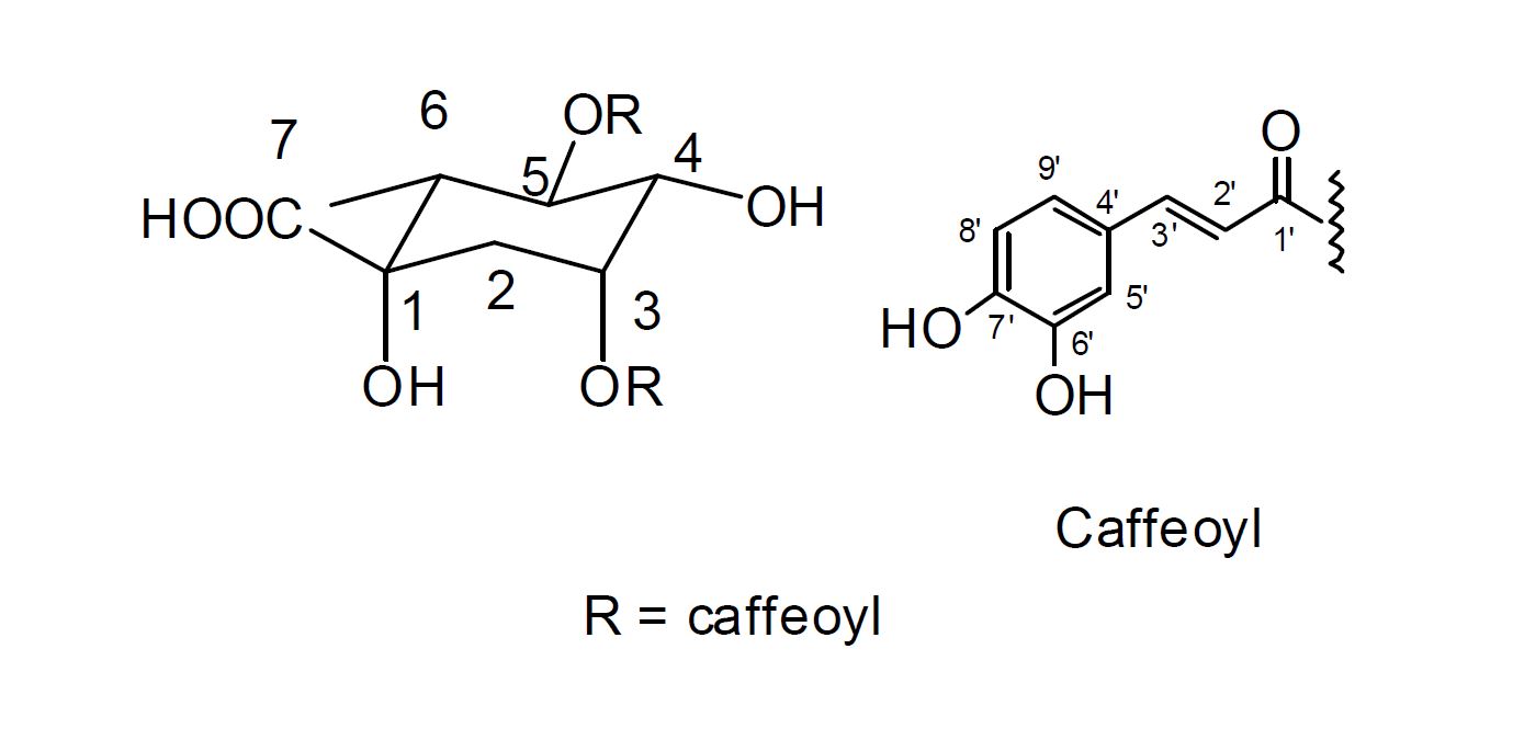 Isochlorogenic acid A의 구조