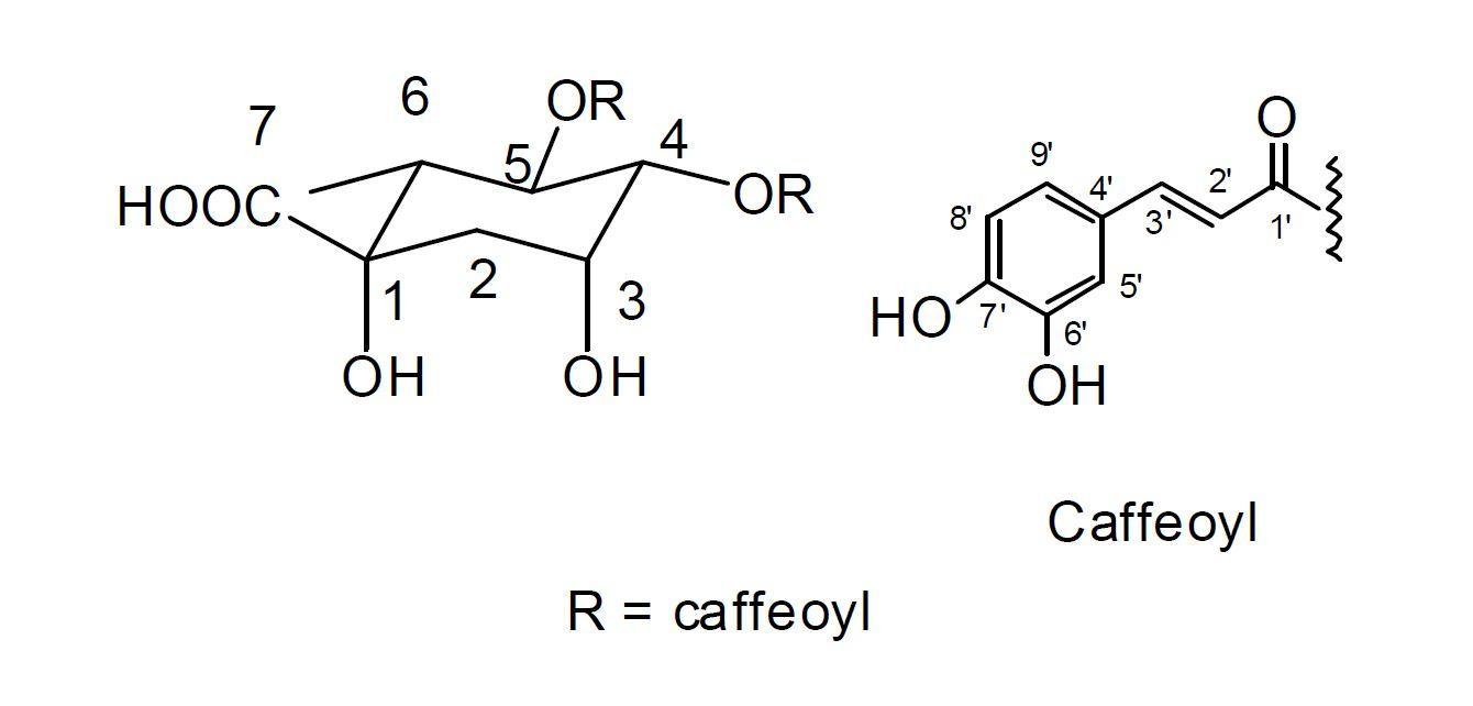 Isochlorogenic acid C 의 구조