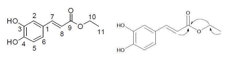 Caffeic acid ethyl ester의 구조 및 HMBC correlation