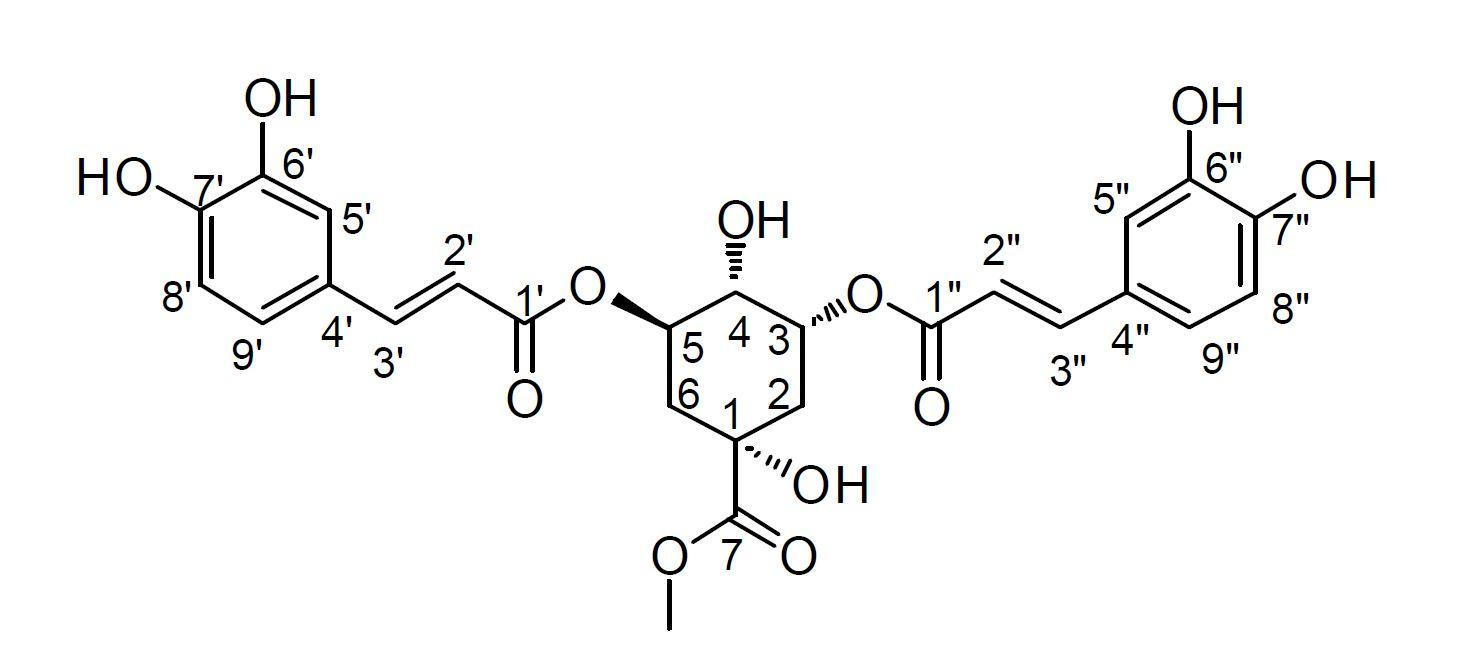 Methyl 3,5-dicaffeoyl quinate 의 구조