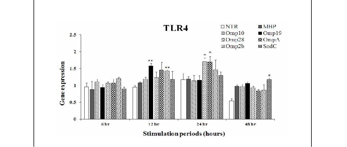 Fig. 83. 고면역원성 항원에 대한 시간대별 TLR4 발현 정도 (* p ＜ 0.05, ** p ＜ 0.01)