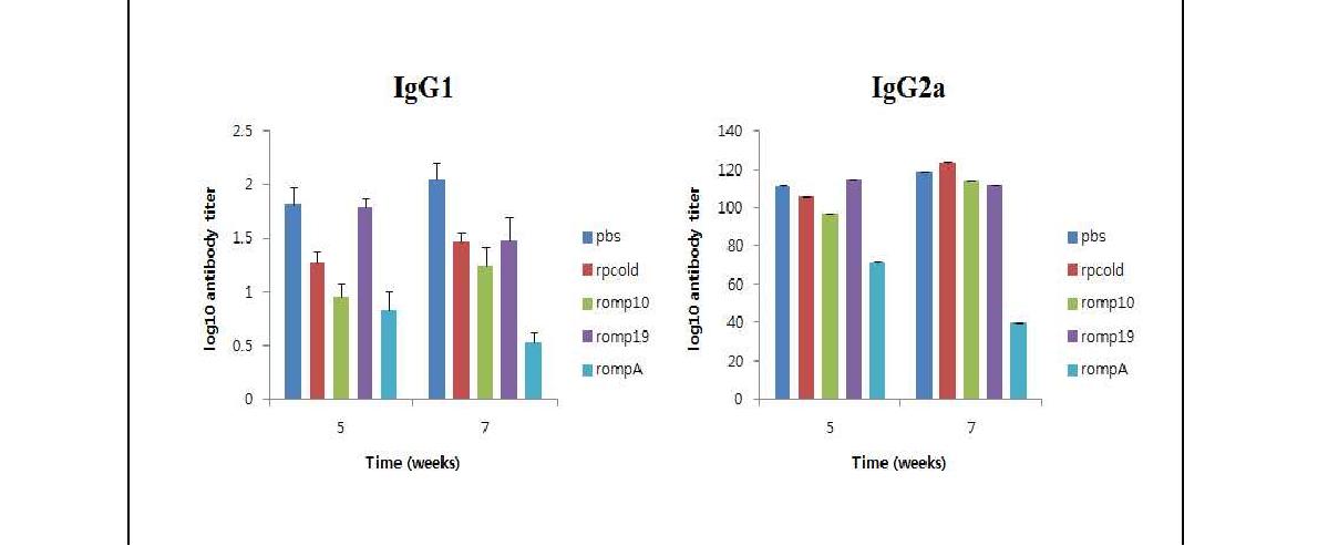 Fig. 87. IgG response after 5 and 7 weeks in mice vaccinated with rpcold or rpcold-omp10, omp19 and ompA