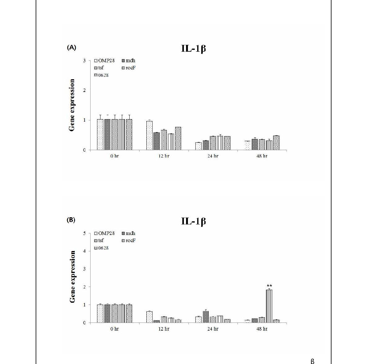 Fig. 90. 고면역원성 재조합 항원 5ug (A), 10ug (B) 자극에 대한 시간대별 IL-1β 발현량 (** p ＜ 0.01)