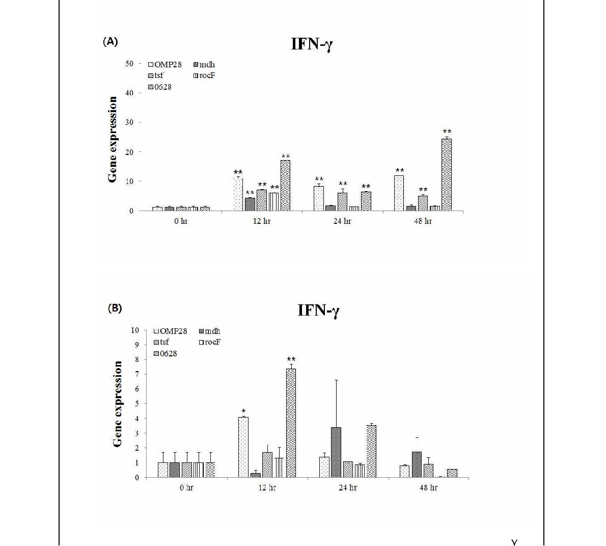 Fig. 94. 고면역원성 재조합 항원 5ug (A), 10ug (B) 자극에 대한 시간대별 IFNγ 발현량 (* P < 0.05, ** p ＜ 0.01)