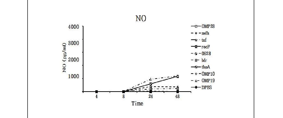 Fig. 108. 고면역원성 재조합 단백질 자극에 시간에 따른 Nitric Oxide 발현 변화 분석