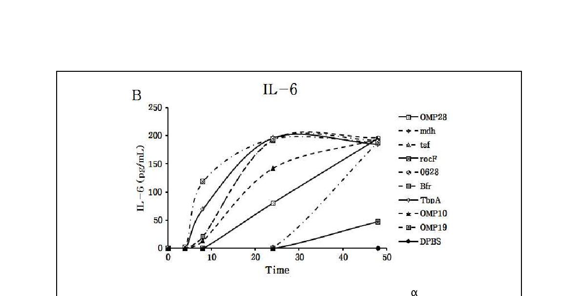 Fig. 109. 고면역원성 재조합 단백질 자극 후, 시간대별 (A) TNF-α와 (B) IL-6 발현량 분석